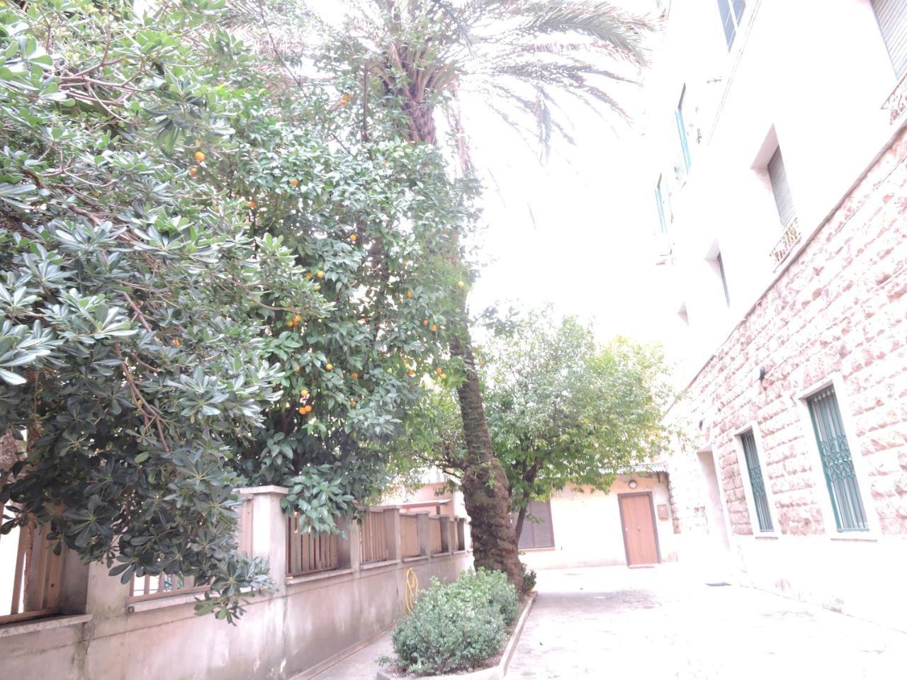 Domus Angelica Apartment Rome Exterior photo